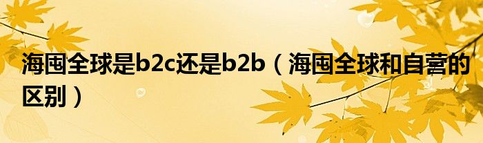 海囤全球是b2c還是b2b（海囤全球和自營(yíng)的區(qū)別）