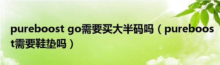 pureboost go需要買大半碼嗎（pureboost需要鞋墊嗎）