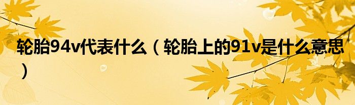 輪胎94v代表什么（輪胎上的91v是什么意思）