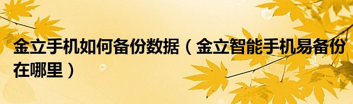 金立手機如何備份數(shù)據(jù)（金立智能手機易備份在哪里）
