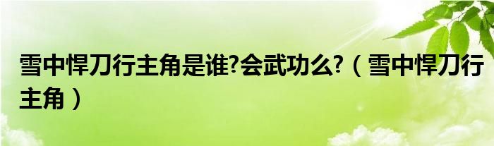 雪中悍刀行主角是誰?會(huì)武功么?（雪中悍刀行主角）