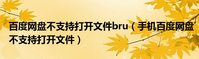百度網(wǎng)盤不支持打開文件bru（手機百度網(wǎng)盤不支持打開文件）