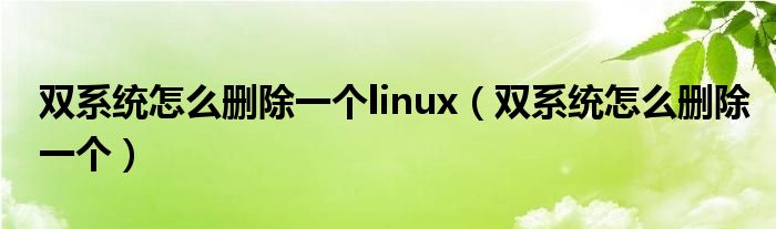 雙系統(tǒng)怎么刪除一個linux（雙系統(tǒng)怎么刪除一個）