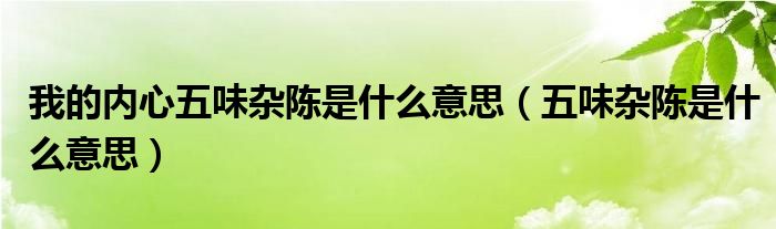 我的內(nèi)心五味雜陳是什么意思（五味雜陳是什么意思）