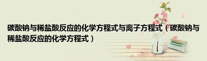 碳酸鈉與稀鹽酸反應的化學方程式與離子方程式（碳酸鈉與稀鹽酸反應的化學方程式）