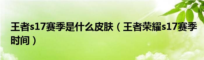 王者s17賽季是什么皮膚（王者榮耀s17賽季時間）