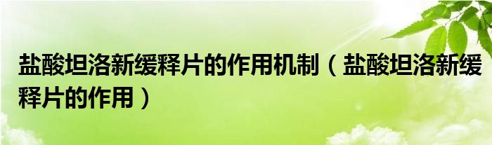 鹽酸坦洛新緩釋片的作用機制（鹽酸坦洛新緩釋片的作用）