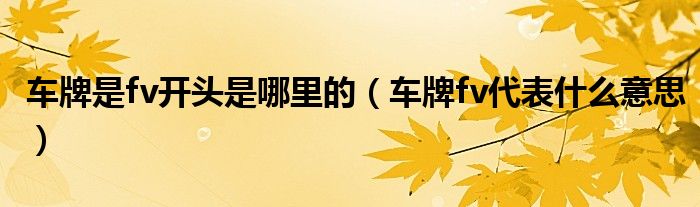 車牌是fv開頭是哪里的（車牌fv代表什么意思）