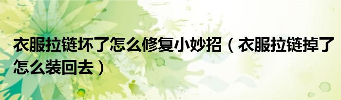 衣服拉鏈壞了怎么修復小妙招（衣服拉鏈掉了怎么裝回去）