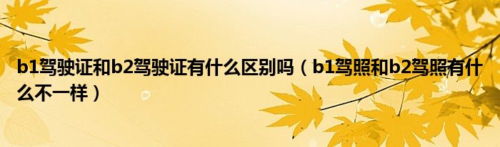 b1駕駛證和b2駕駛證有什么區(qū)別嗎（b1駕照和b2駕照有什么不一樣）