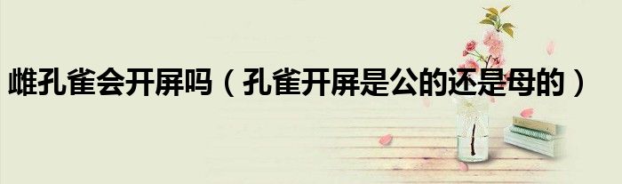 雌孔雀會開屏嗎（孔雀開屏是公的還是母的）