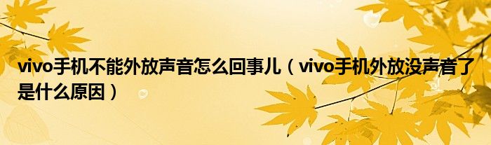 vivo手機(jī)不能外放聲音怎么回事兒（vivo手機(jī)外放沒聲音了是什么原因）