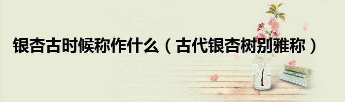 銀杏古時(shí)候稱(chēng)作什么（古代銀杏樹(shù)別雅稱(chēng)）