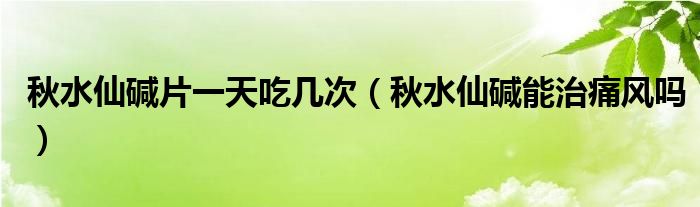 秋水仙堿片一天吃幾次（秋水仙堿能治痛風(fēng)嗎）