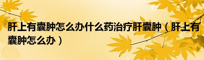 肝上有囊腫怎么辦什么藥治療肝囊腫（肝上有囊腫怎么辦）