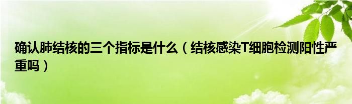 確認(rèn)肺結(jié)核的三個(gè)指標(biāo)是什么（結(jié)核感染T細(xì)胞檢測(cè)陽性嚴(yán)重嗎）