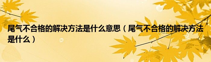 尾氣不合格的解決方法是什么意思（尾氣不合格的解決方法是什么）