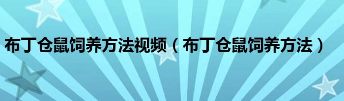 布丁倉鼠飼養(yǎng)方法視頻（布丁倉鼠飼養(yǎng)方法）