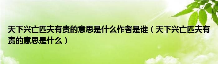 天下興亡匹夫有責(zé)的意思是什么作者是誰(shuí)（天下興亡匹夫有責(zé)的意思是什么）