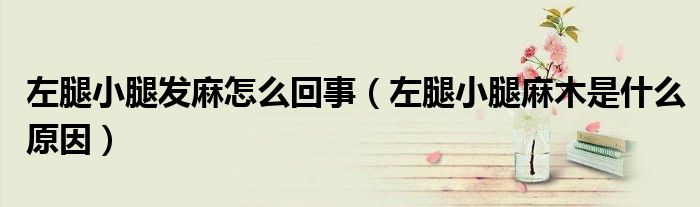 左腿小腿發(fā)麻怎么回事（左腿小腿麻木是什么原因）