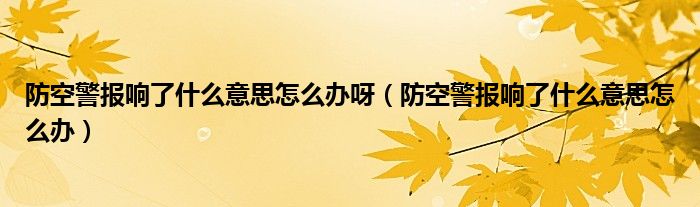 防空警報(bào)響了什么意思怎么辦呀（防空警報(bào)響了什么意思怎么辦）