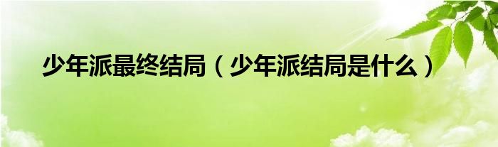 少年派最終結局（少年派結局是什么）
