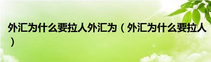 外匯為什么要拉人外匯為（外匯為什么要拉人）