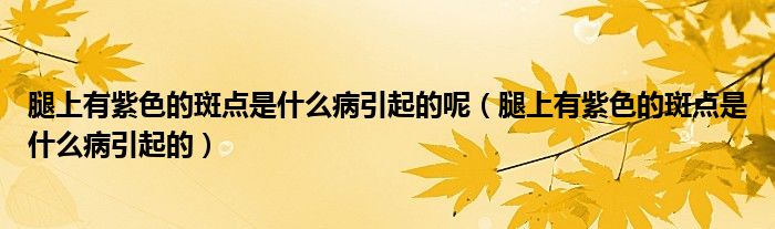 腿上有紫色的斑點(diǎn)是什么病引起的呢（腿上有紫色的斑點(diǎn)是什么病引起的）