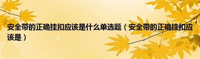安全帶的正確掛扣應該是什么單選題（安全帶的正確掛扣應該是）
