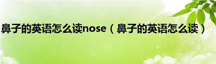 鼻子的英語(yǔ)怎么讀nose（鼻子的英語(yǔ)怎么讀）