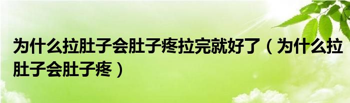 為什么拉肚子會肚子疼拉完就好了（為什么拉肚子會肚子疼）