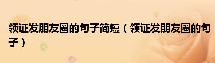 領證發(fā)朋友圈的句子簡短（領證發(fā)朋友圈的句子）