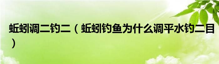 蚯蚓調(diào)二釣二（蚯蚓釣魚為什么調(diào)平水釣二目）