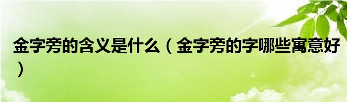 金字旁的含義是什么（金字旁的字哪些寓意好）