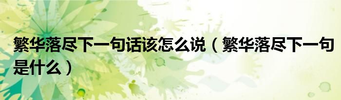 繁華落盡下一句話該怎么說（繁華落盡下一句是什么）