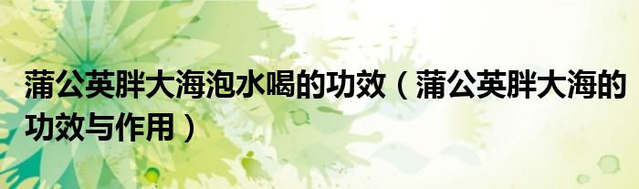 蒲公英胖大海泡水喝的功效（蒲公英胖大海的功效與作用）
