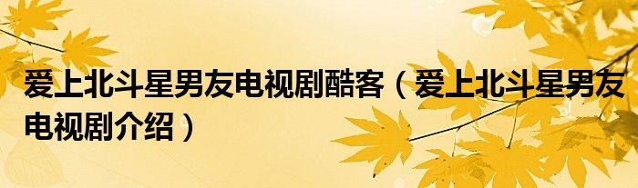 愛上北斗星男友電視劇酷客（愛上北斗星男友電視劇介紹）