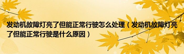 發(fā)動機故障燈亮了但能正常行駛怎么處理（發(fā)動機故障燈亮了但能正常行駛是什么原因）
