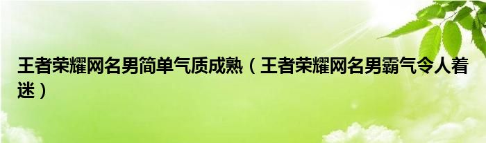 王者榮耀網(wǎng)名男簡單氣質(zhì)成熟（王者榮耀網(wǎng)名男霸氣令人著迷）