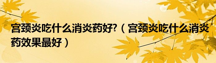 宮頸炎吃什么消炎藥好?（宮頸炎吃什么消炎藥效果最好）