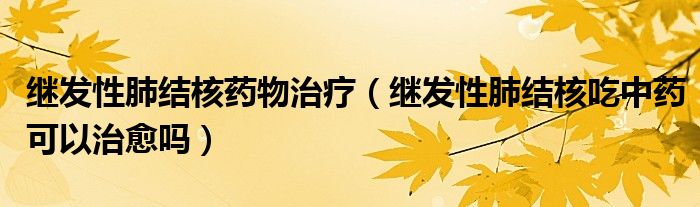 繼發(fā)性肺結核藥物治療（繼發(fā)性肺結核吃中藥可以治愈嗎）