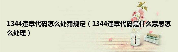 1344違章代碼怎么處罰規(guī)定（1344違章代碼是什么意思怎么處理）