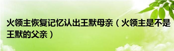 火領(lǐng)主恢復(fù)記憶認(rèn)出王默母親（火領(lǐng)主是不是王默的父親）