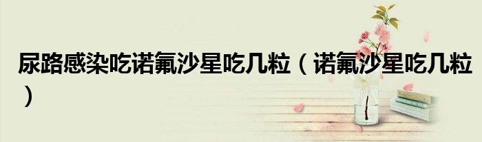 尿路感染吃諾氟沙星吃幾粒（諾氟沙星吃幾粒）