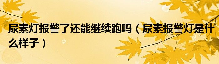 尿素?zé)魣?bào)警了還能繼續(xù)跑嗎（尿素報(bào)警燈是什么樣子）