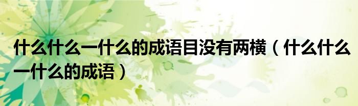什么什么一什么的成語目沒有兩橫（什么什么一什么的成語）