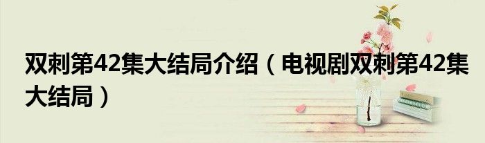 雙刺第42集大結局介紹（電視劇雙刺第42集大結局）