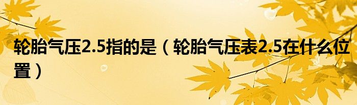 輪胎氣壓2.5指的是（輪胎氣壓表2.5在什么位置）