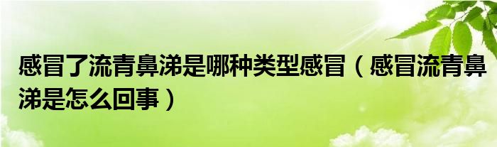 感冒了流青鼻涕是哪種類型感冒（感冒流青鼻涕是怎么回事）