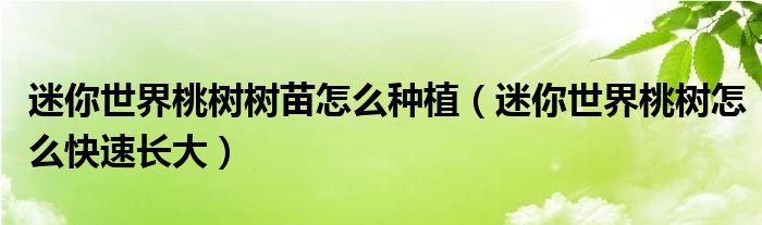 迷你世界桃樹樹苗怎么種植（迷你世界桃樹怎么快速長大）